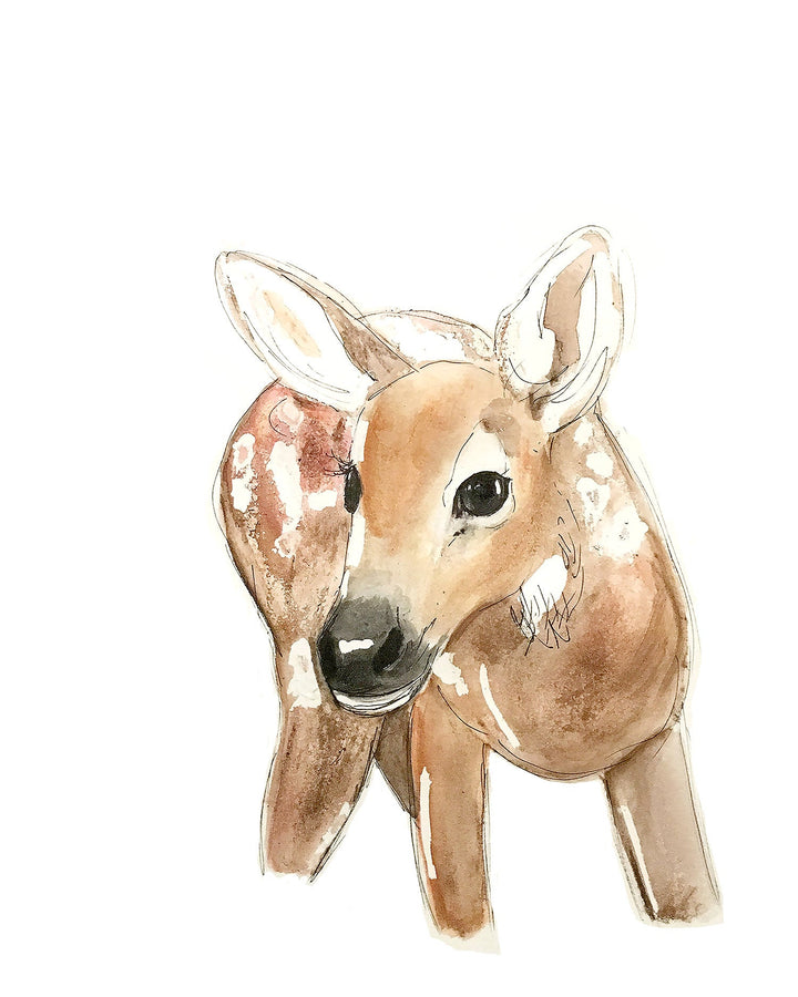 Illustration - Forest animals - Fawn