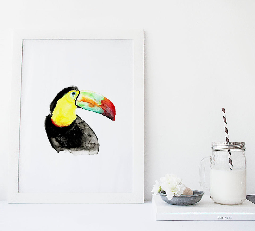 Illustration - Birds - Toucan