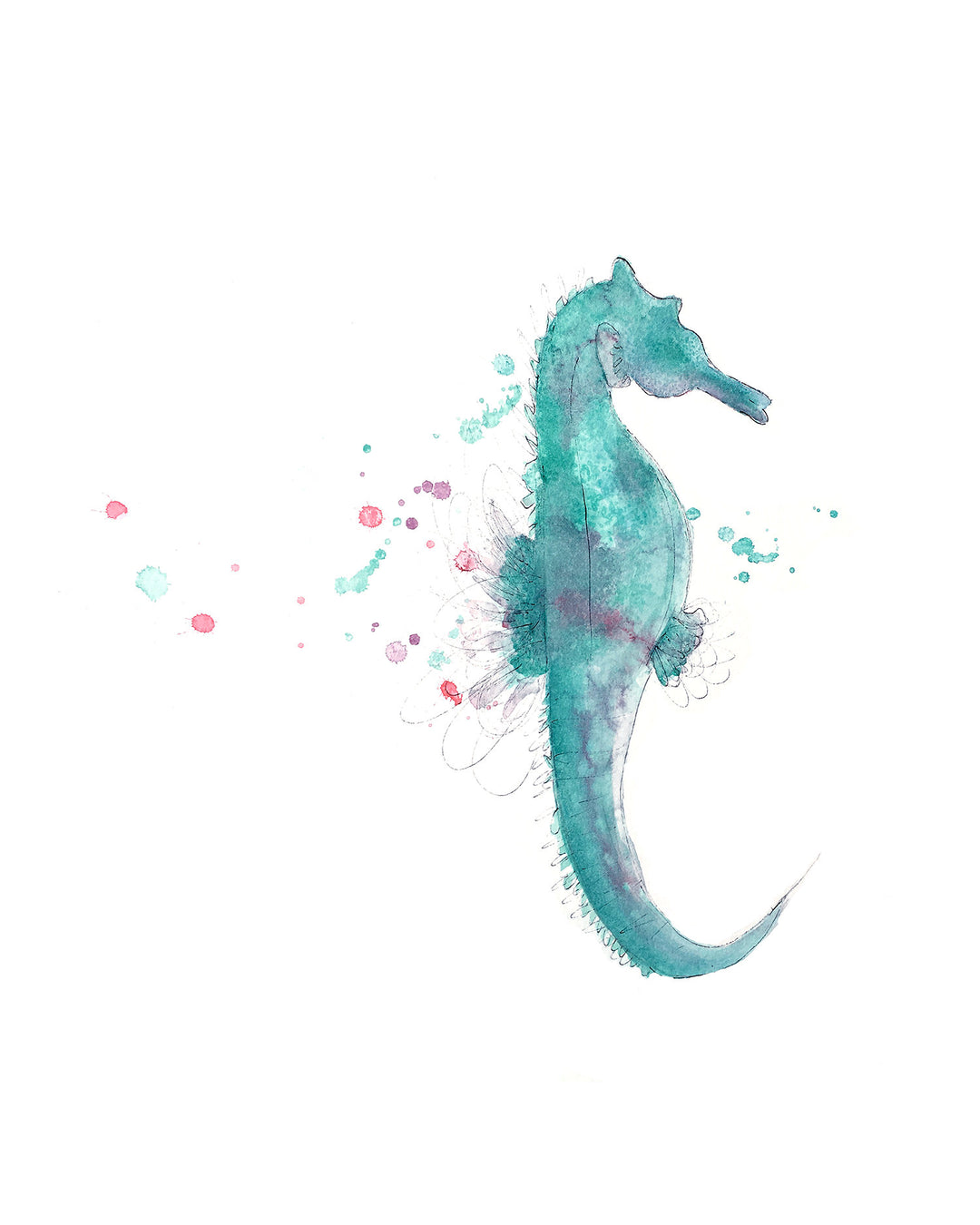 Illustration - Marine animals - Seahorse