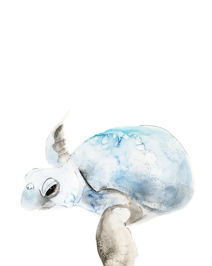 Illustration - Animaux marins - Affiche tortue de mer