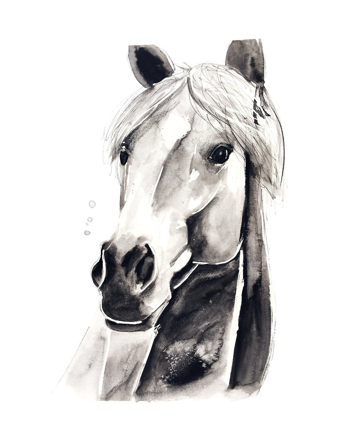 Illustration - Farm animals - gray horse