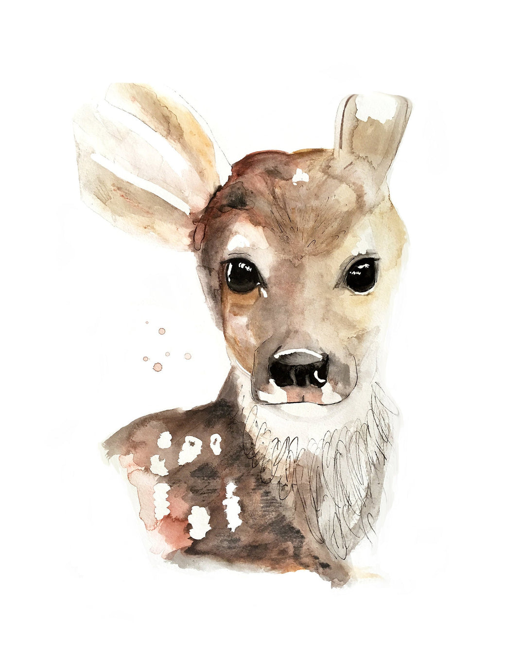 Illustration - Forest animals - deer