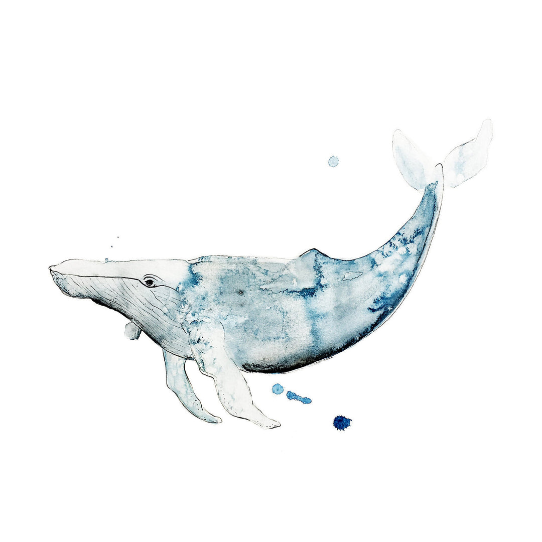Illustration - Animaux marins - Baleine