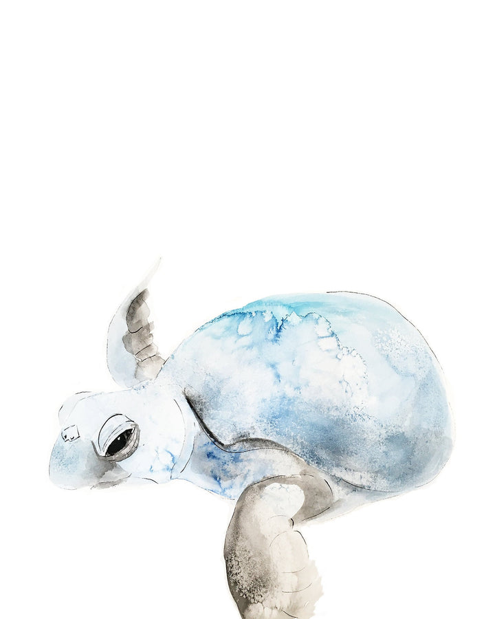Affiche de naissance personnalisée tortue bleue