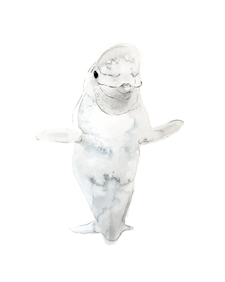 Illustration - Marine animals - beluga