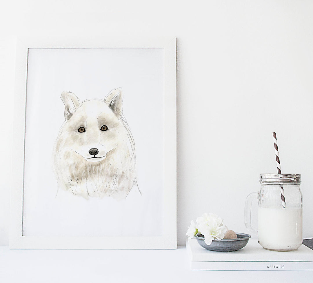 Illustration - Animaux polaires - loup arctique