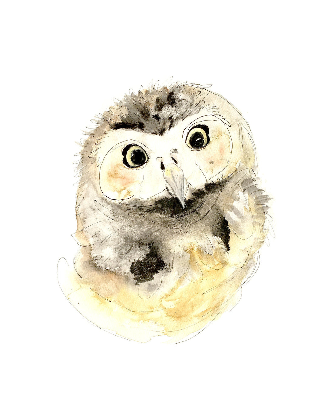Illustration - Animaux de la forêt - Chouette