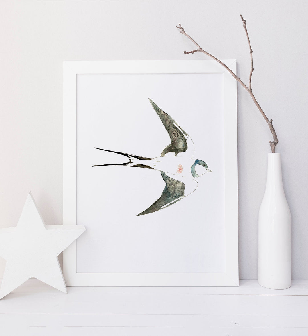 Illustration - Birds - Swallow