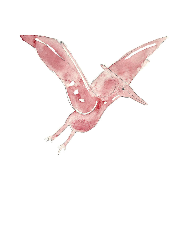 Illustration - Dinosaures - Ptérosaure / Ptérodactyle