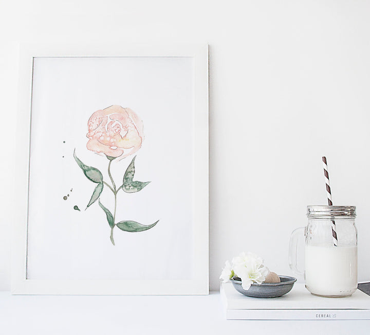 Illustration - Floral - Rose