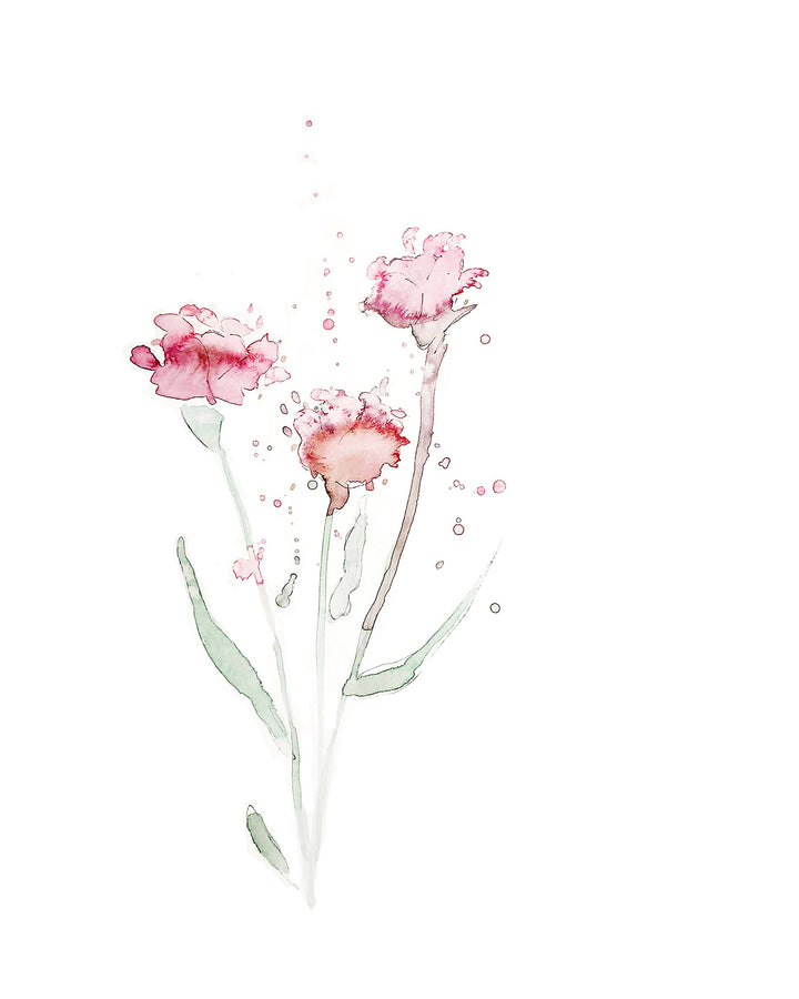 Illustration - Floral - carnations