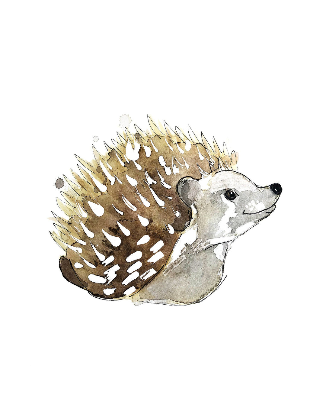 Illustration - Forest animals - Hedgehog