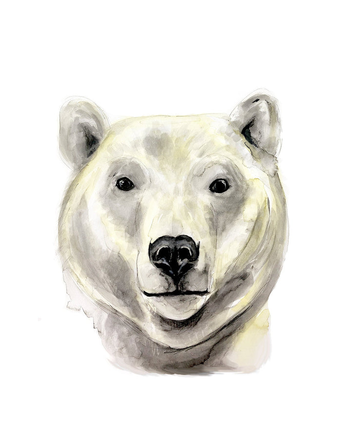 Illustration - Animaux polaires - Ours blanc
