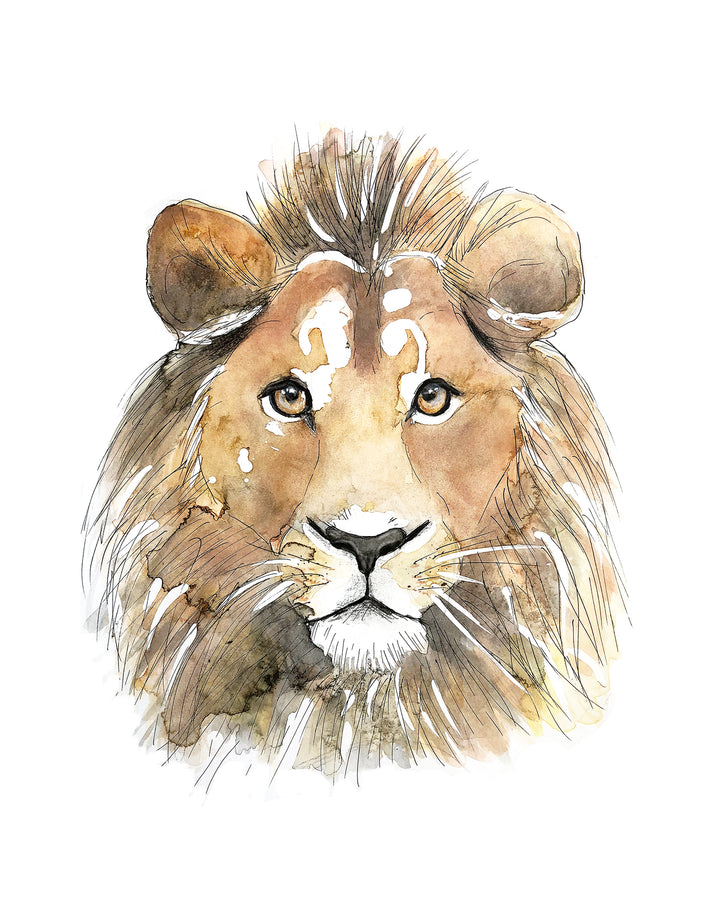 Illustration - Animals of the savannah - lion