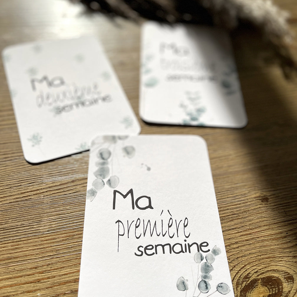 Cartes-étapes · bébé · eucalyptus · première année de bébé